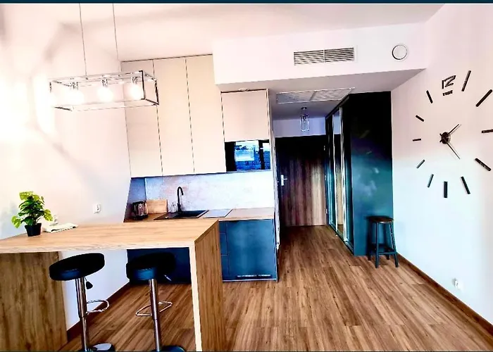 Hanza Tower De Lux Apartment *